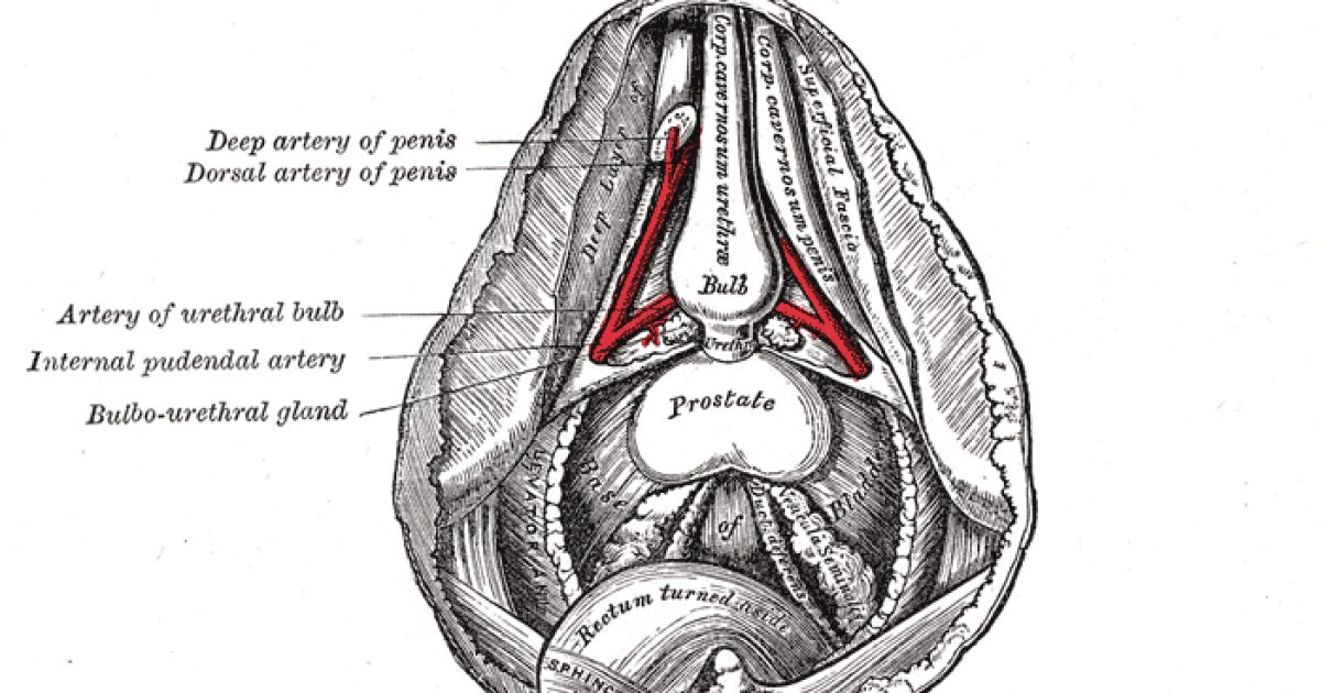 Benign Prostatic Hyperplasia (BPH): The 2025 Diagnosis and Treatment Guideline