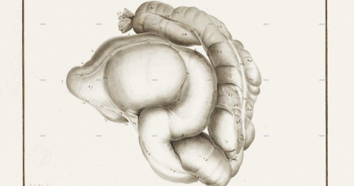 Chronic Constipation: How It Is Assessed and Treated Step by Step