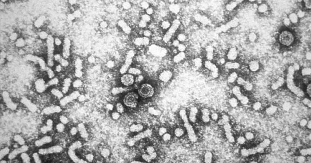 Chronic Hepatitis B: China's 2022 Prevention and Treatment Guideline