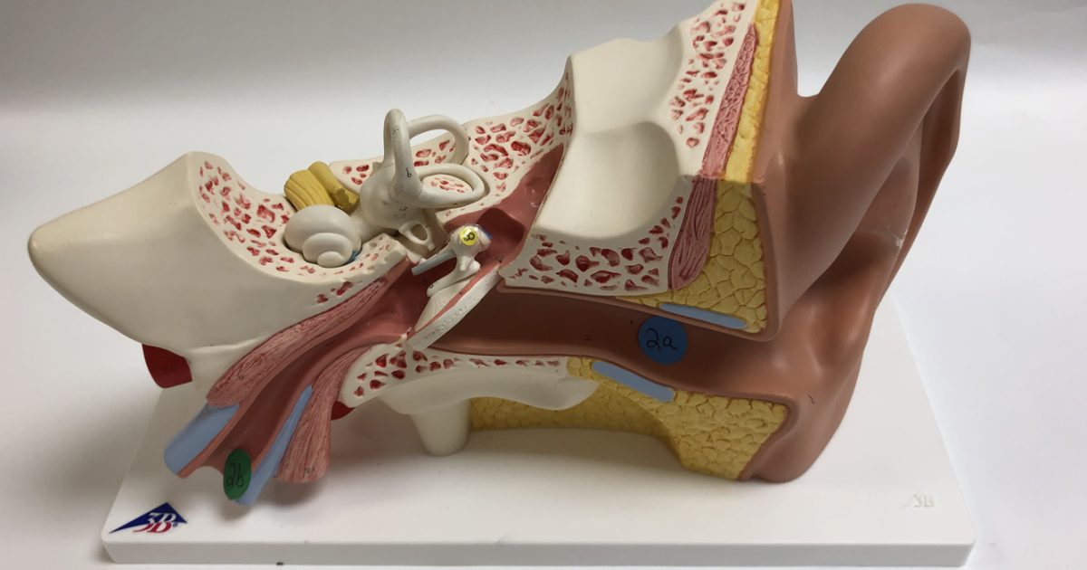 ENT Clinical Practice and Procedure Standards: A Guideline Overview