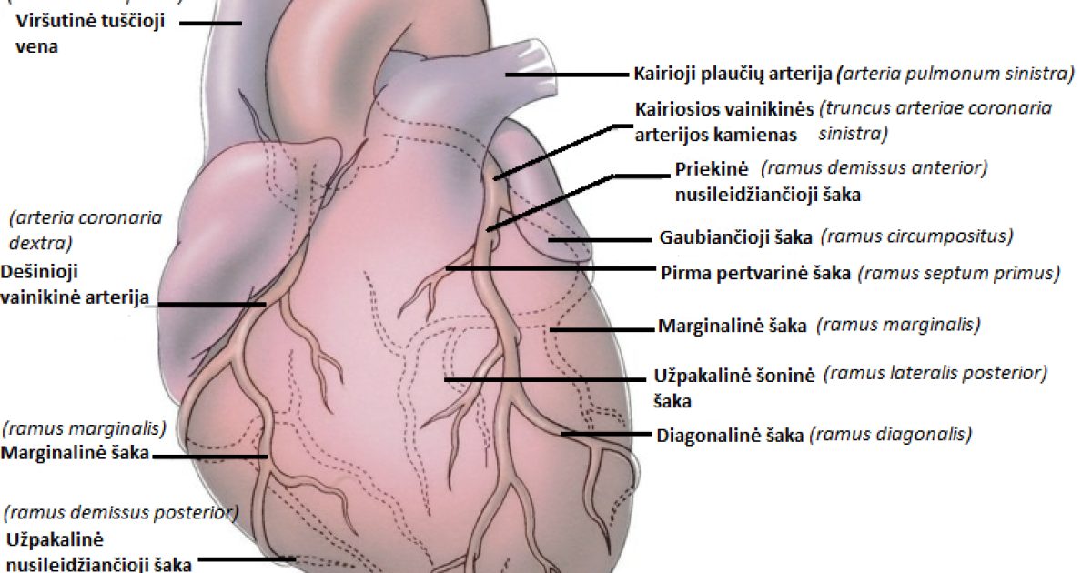 NSTE-ACS: Diagnosis and Treatment of Non-ST-Elevation Acute Coronary Syndrome